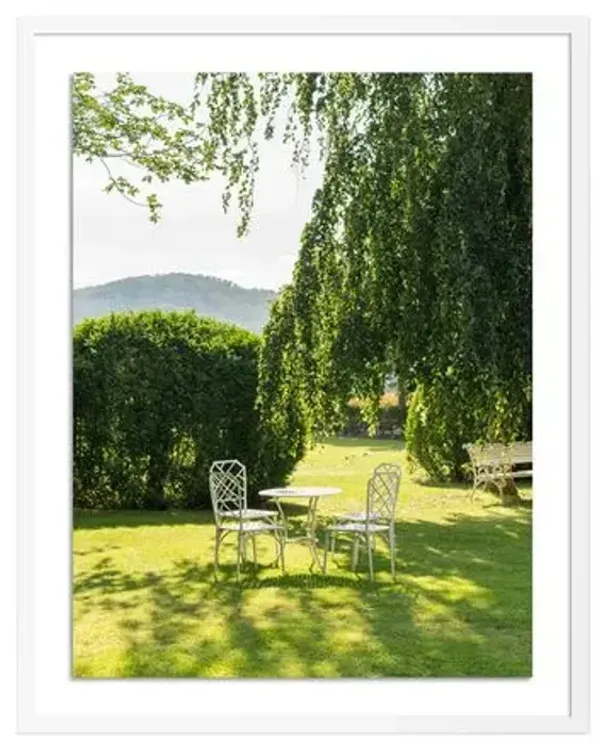 Tommy Kwak - Garden Photograph - Taunus - Germany - White