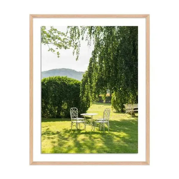 Tommy Kwak - Garden Photograph - Taunus - Germany - White