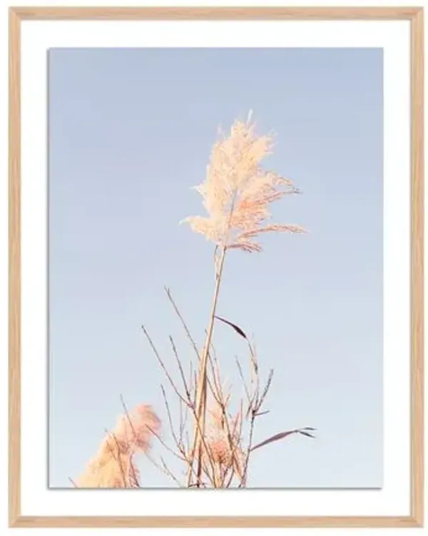 Tommy Kwak - Grass Photograph - Barnegat Light - NJ - Brown