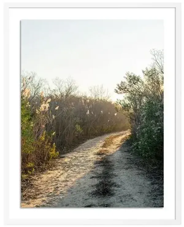 Tommy Kwak - Path Photograph - Barnegat Light - NJ - Brown