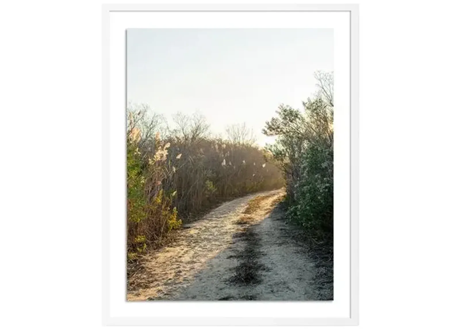 Tommy Kwak - Path (Barnegat Light - NJ) - Brown