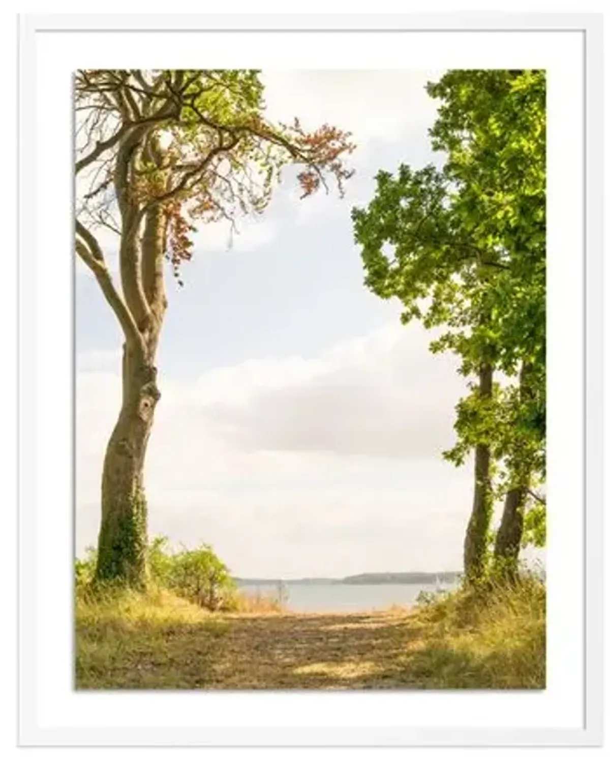 Tommy Kwak - Path Photograph - Strande - Germany - Brown