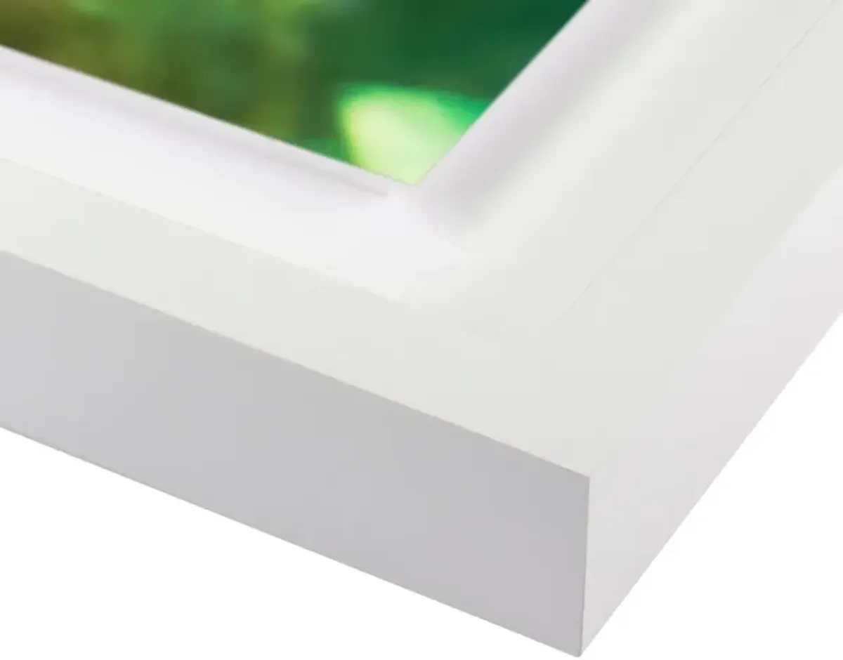 Tommy Kwak, Poppies Photograph, Taunus, Germany