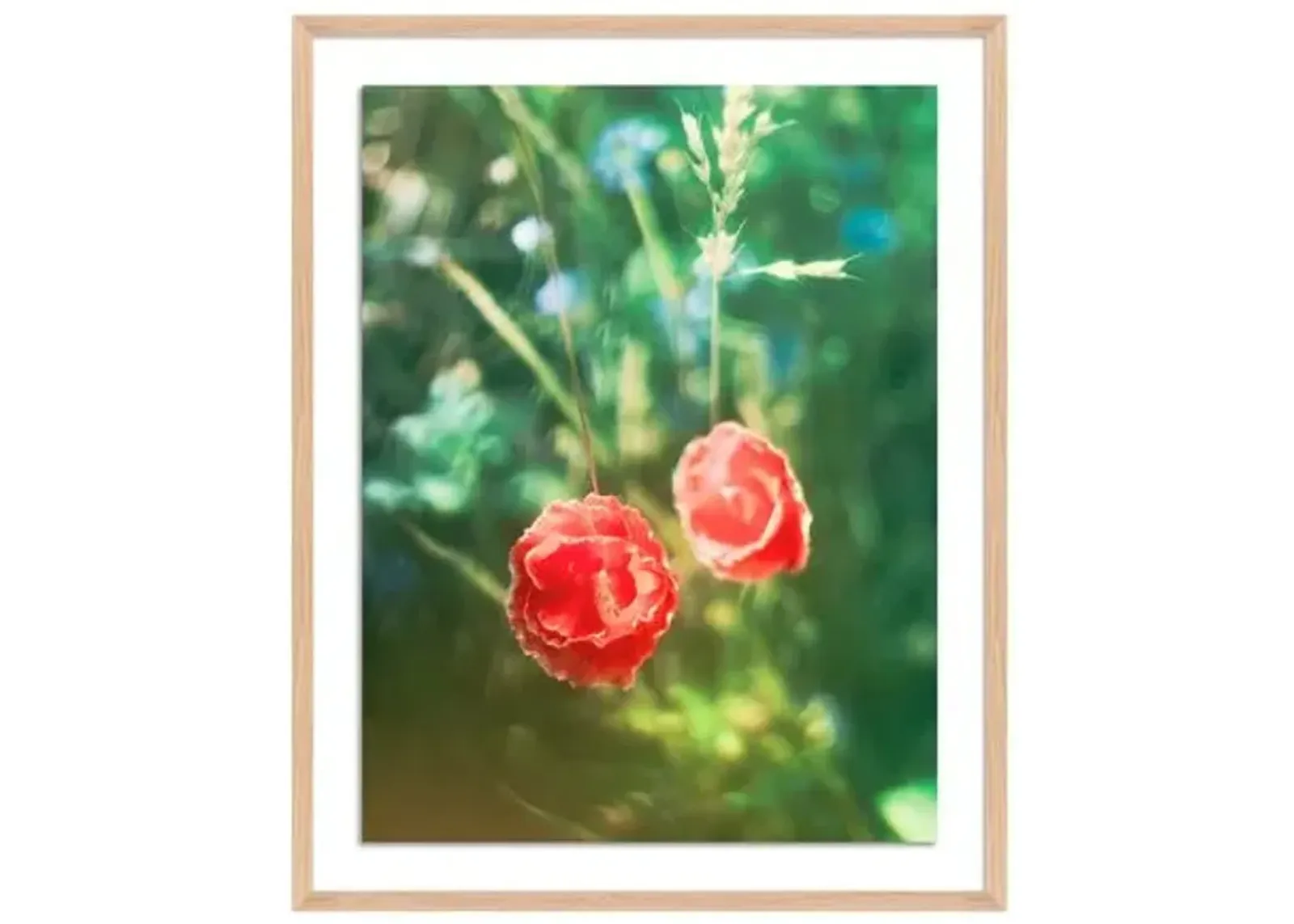 Tommy Kwak - Poppies (Taunus - Germany) - Red