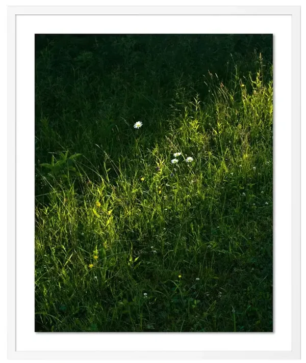 Tommy Kwak, Sunlight Photograph, Bowman Lake, NY