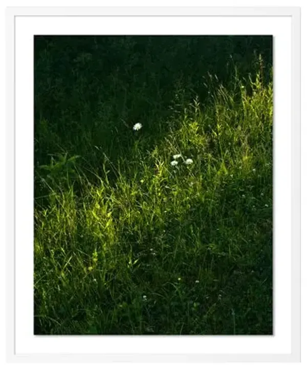 Tommy Kwak - Sunlight Photograph - Bowman Lake - NY - Yellow