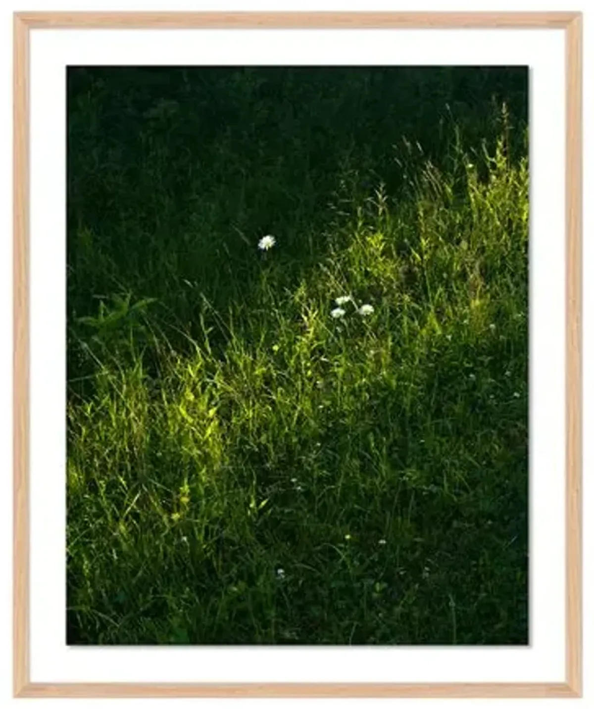 Tommy Kwak - Sunlight Photograph - Bowman Lake - NY - Yellow