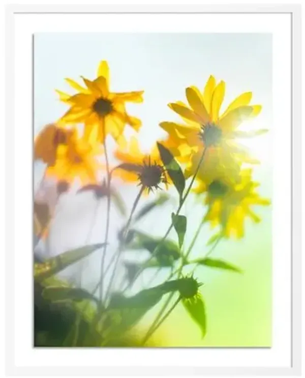 Tommy Kwak - Wildflowers Photograph - Germany - Green