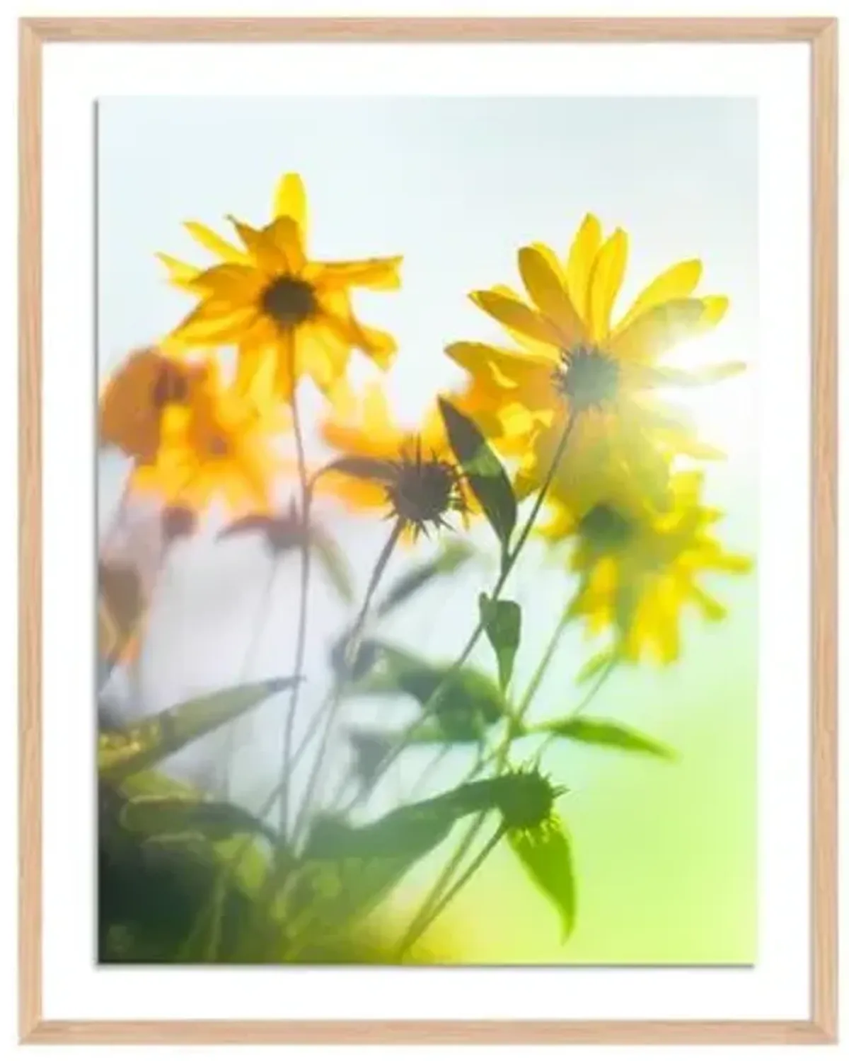 Tommy Kwak - Wildflowers Photograph - Germany - Green