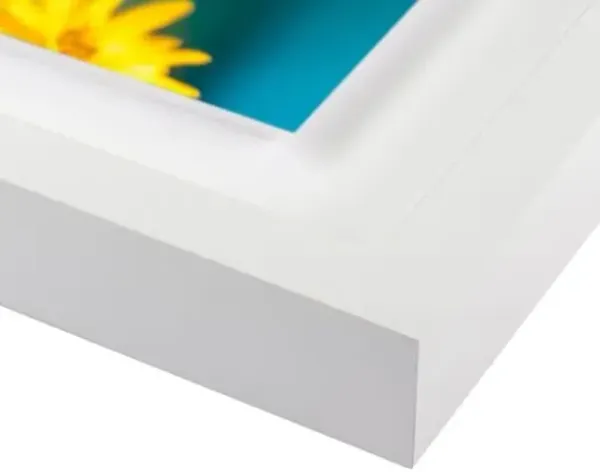 Tommy Kwak - Wildflowers 2 Photograph - Green