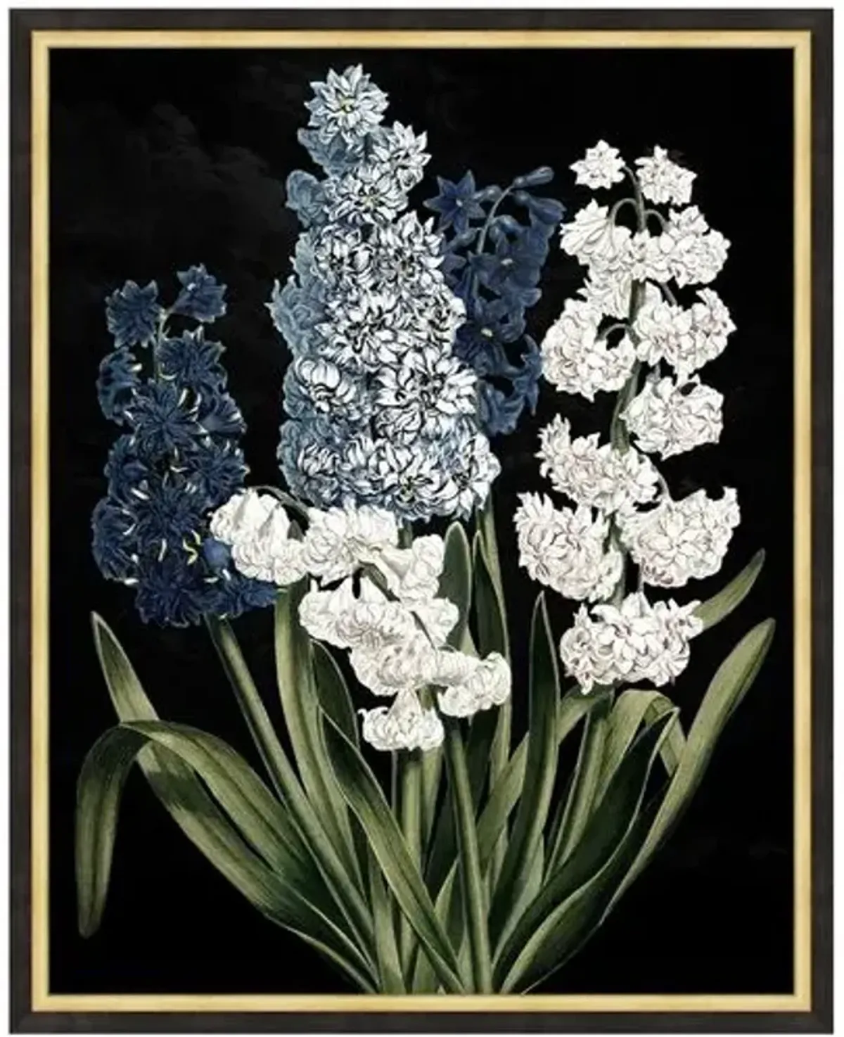 Lillian August - Poetic Botanicals - Black