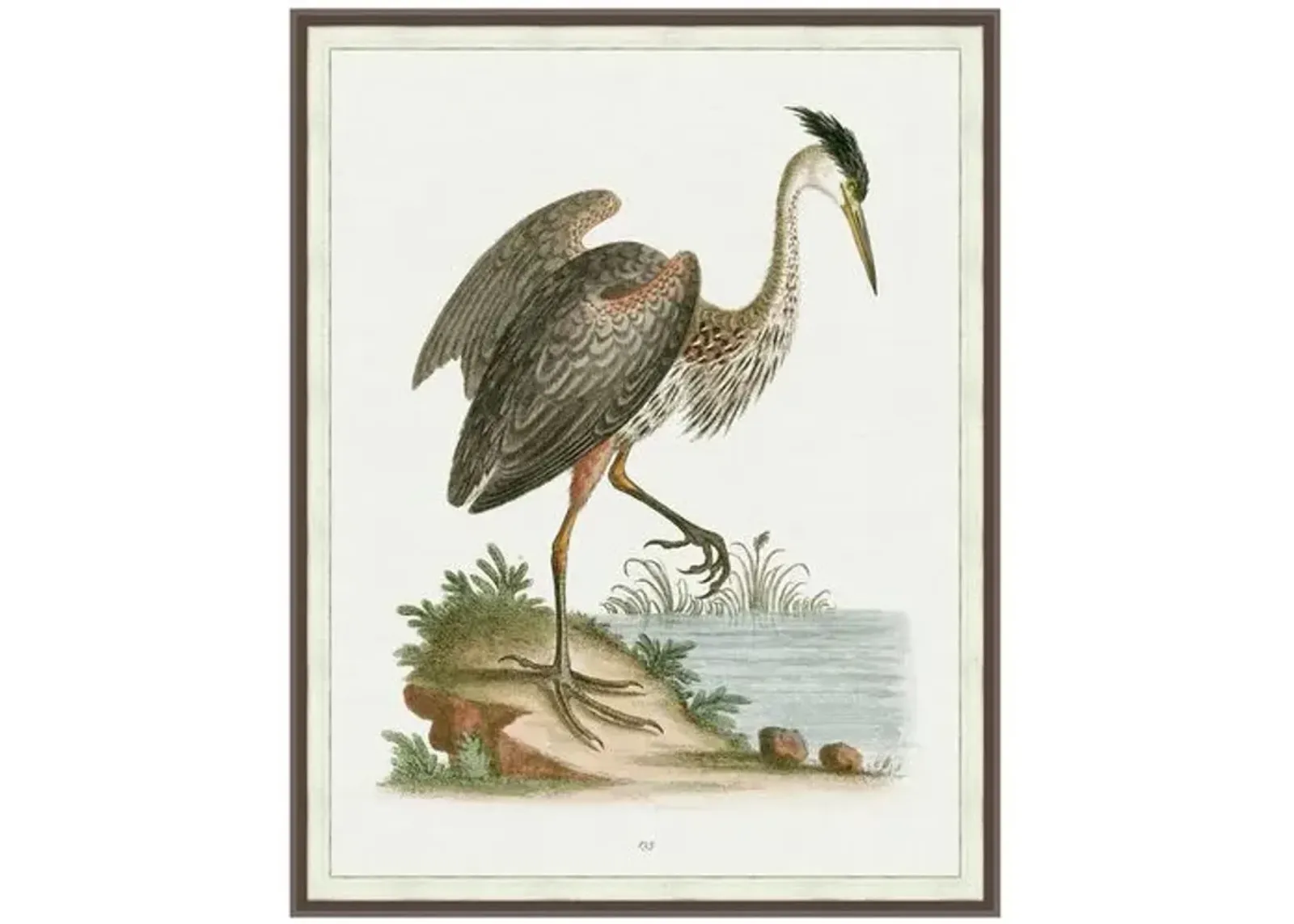 Lillian August - Regal Heron 2 - Silver