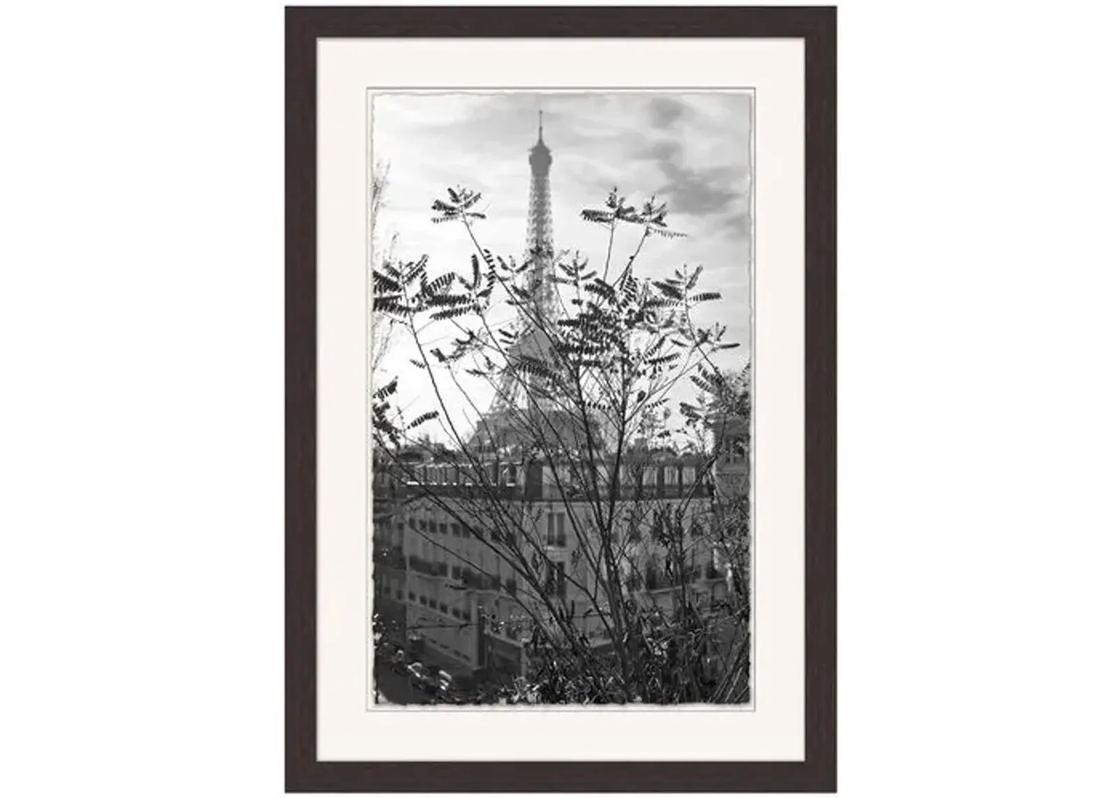 Lillian August - Tour Eiffel - Gray