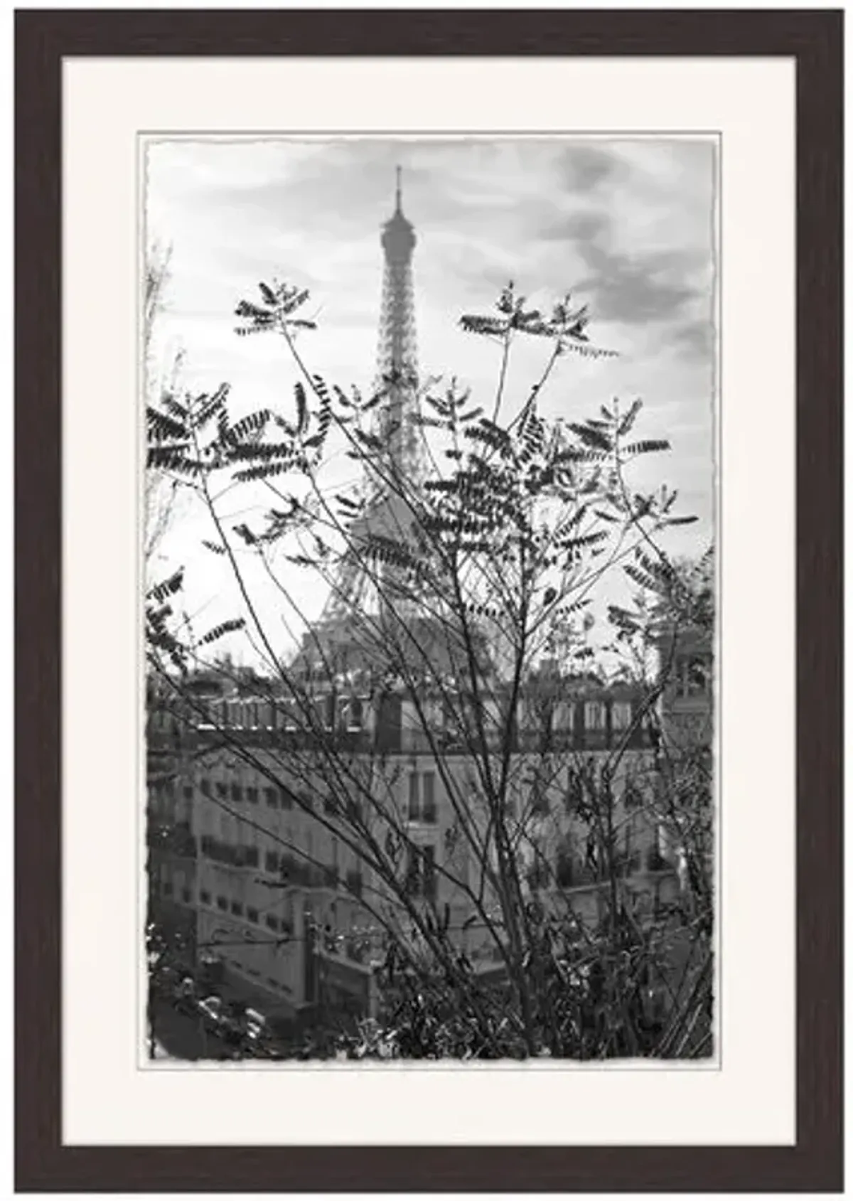 Lillian August - Tour Eiffel - Gray