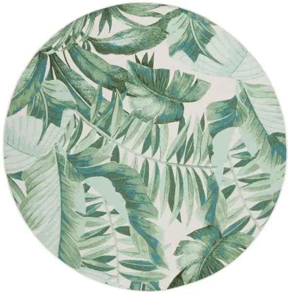 Kai Rug
