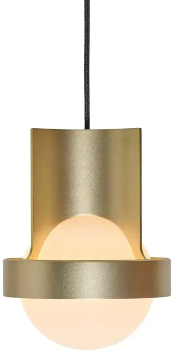 Loop Single Pendant - Tala Lighting - Gold