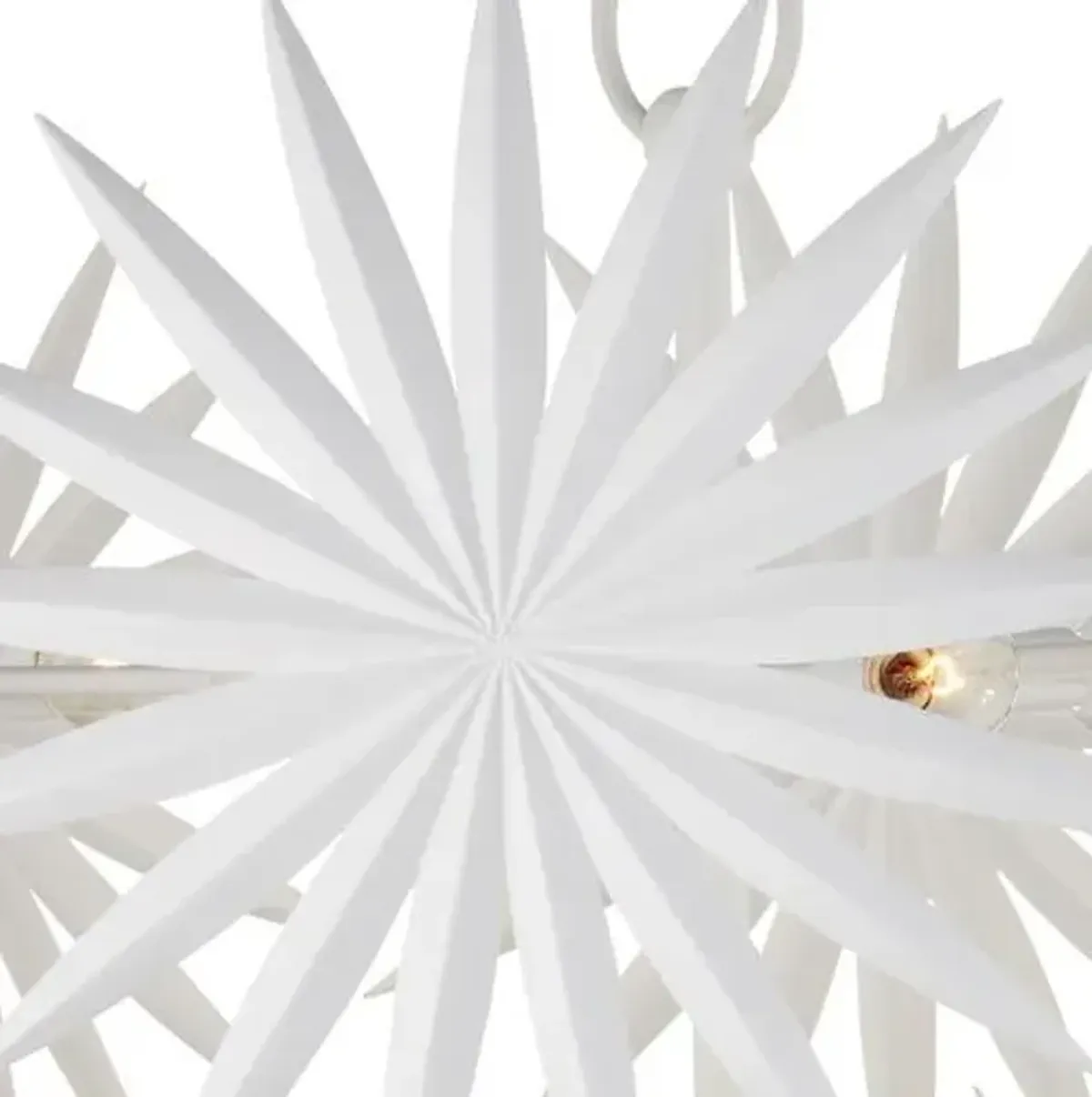 Bismarkia Chandelier - Gesso White - Currey & Company