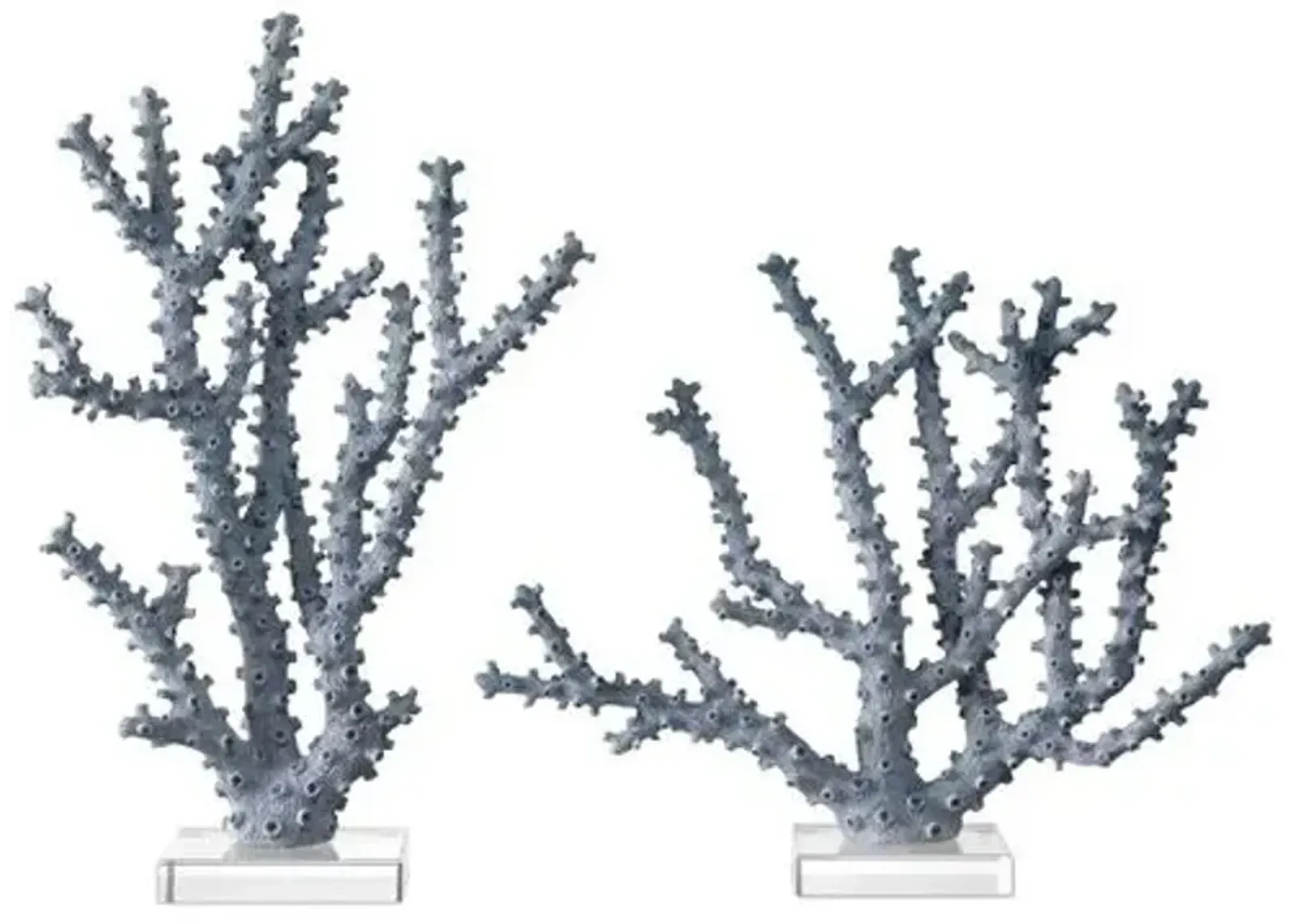 Set of 2 Coral Objects - Blue - Currey & Company