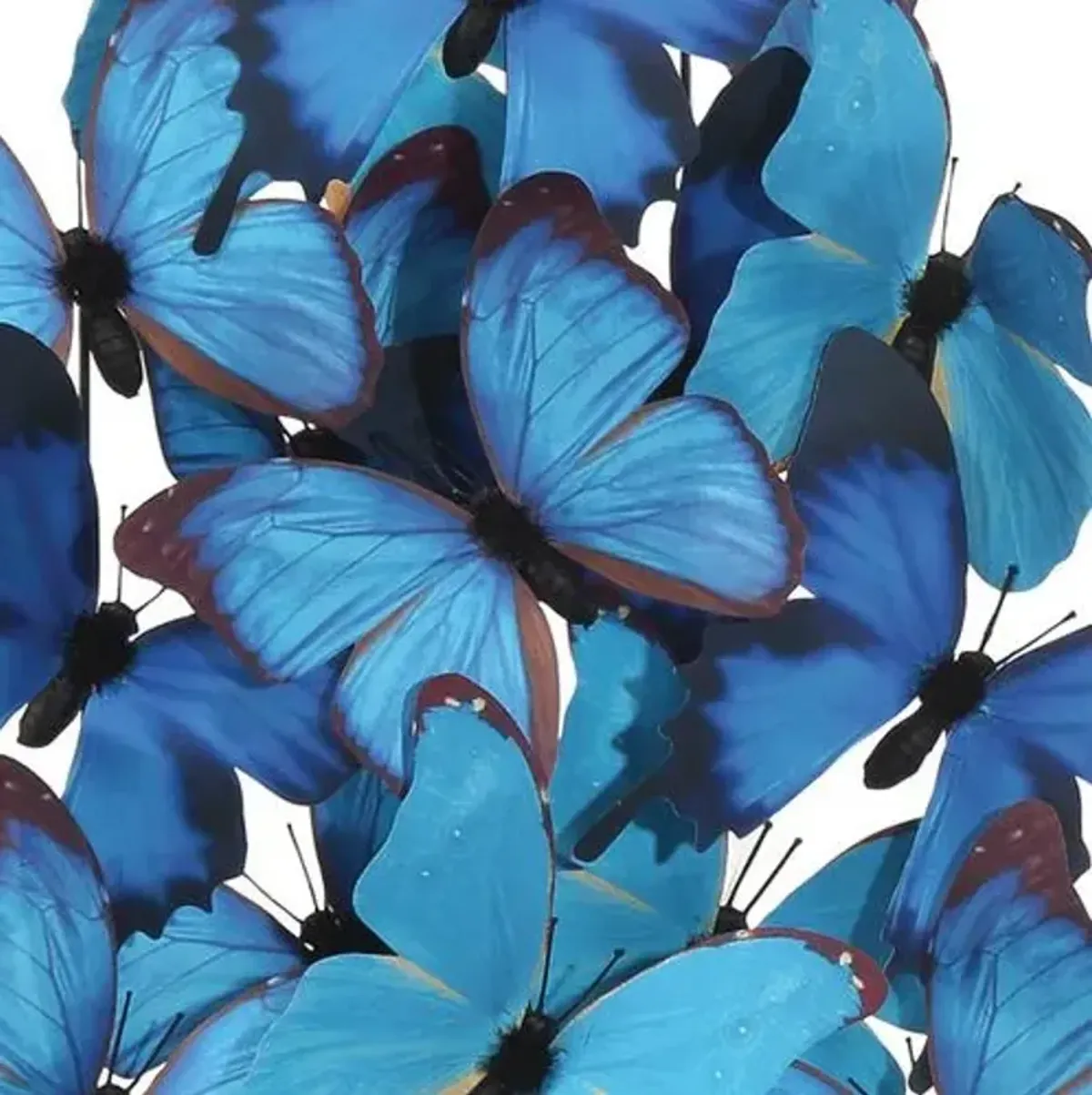 Rue de Bac Butterflies - Blue/Black - Currey & Company