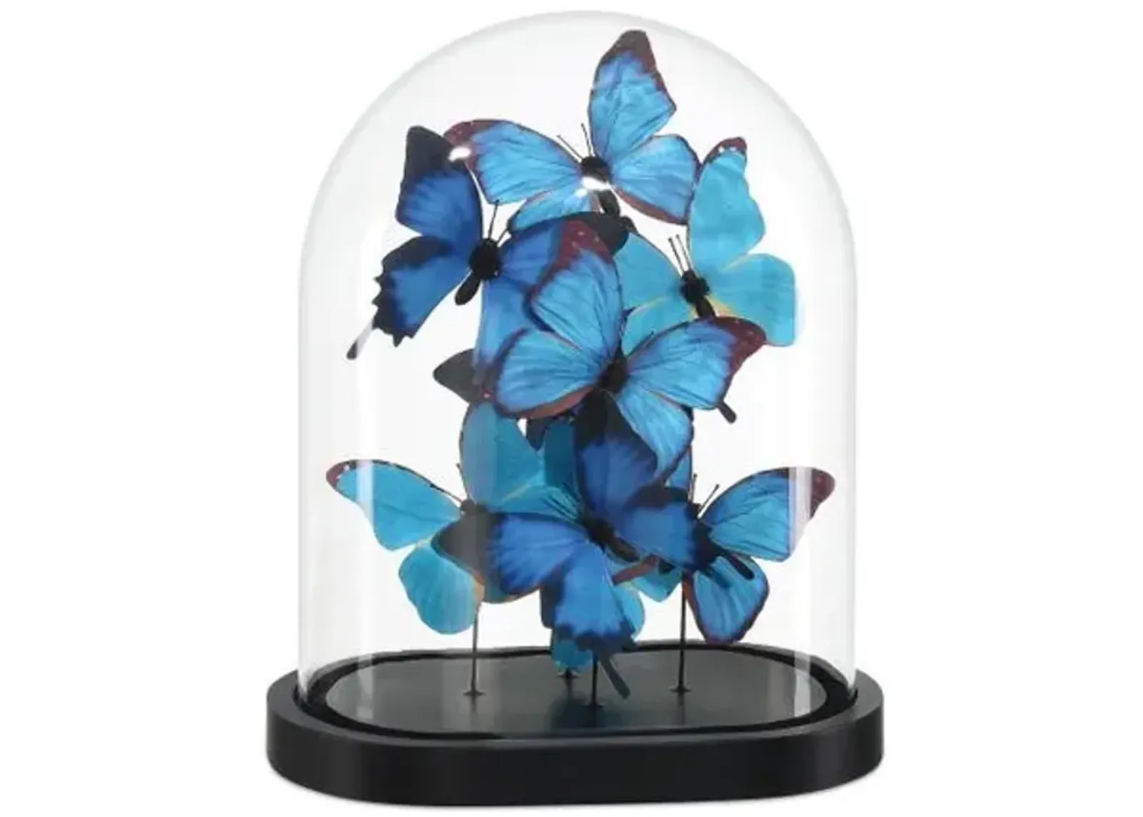 Rue de Bac Butterflies - Blue/Black - Currey & Company