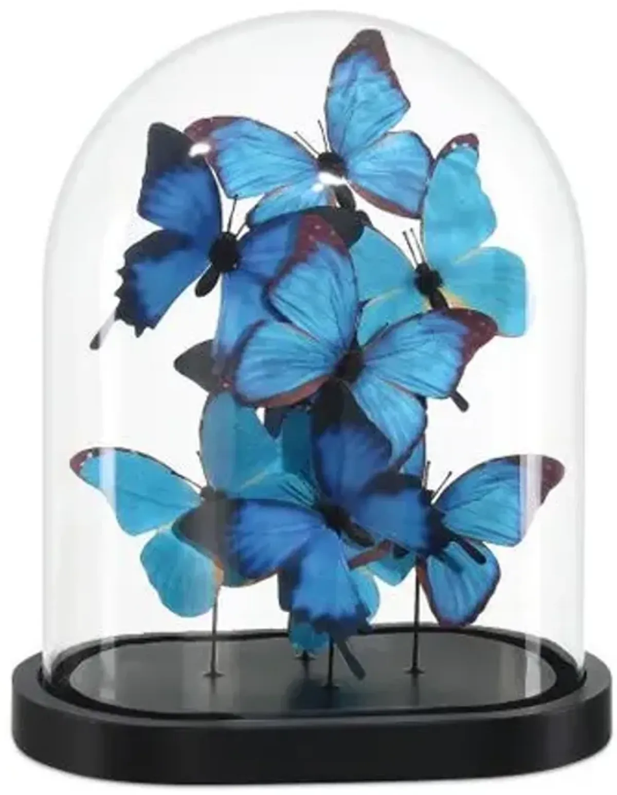 Rue de Bac Butterflies - Blue/Black - Currey & Company