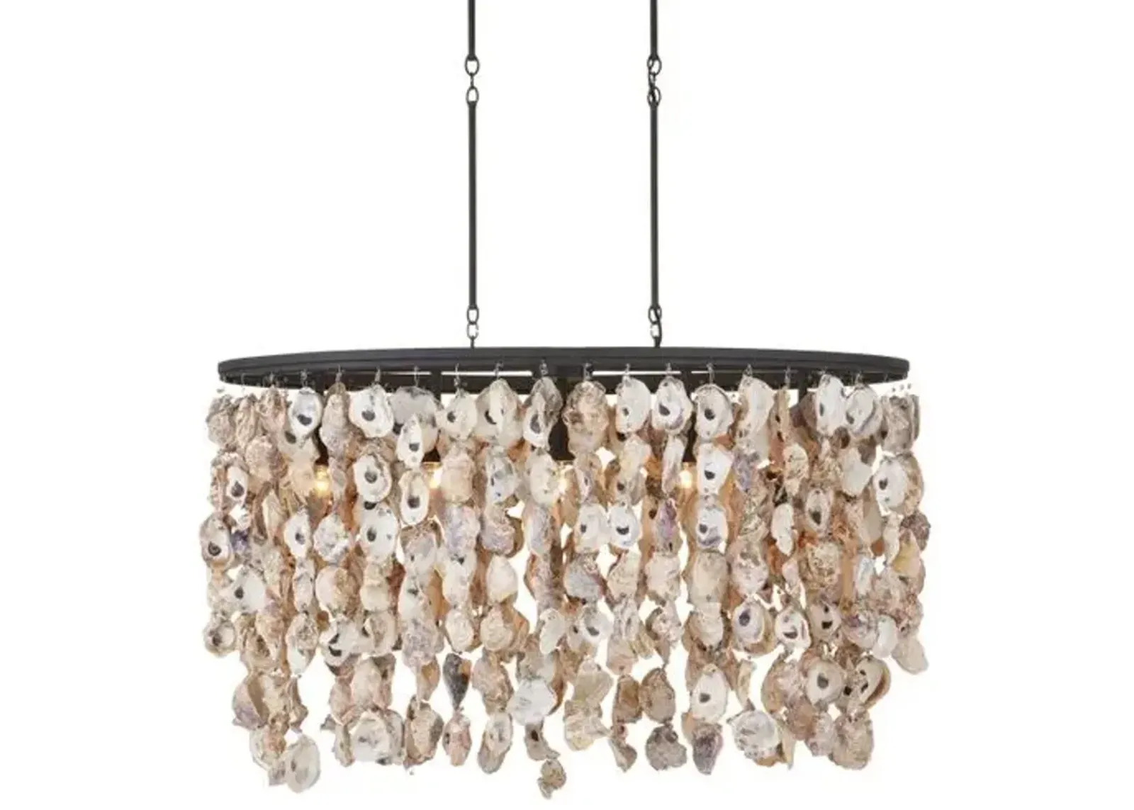 Stillwater Oyster Shell Oval Chandelier - Natural/Blacksmith - Currey & Company