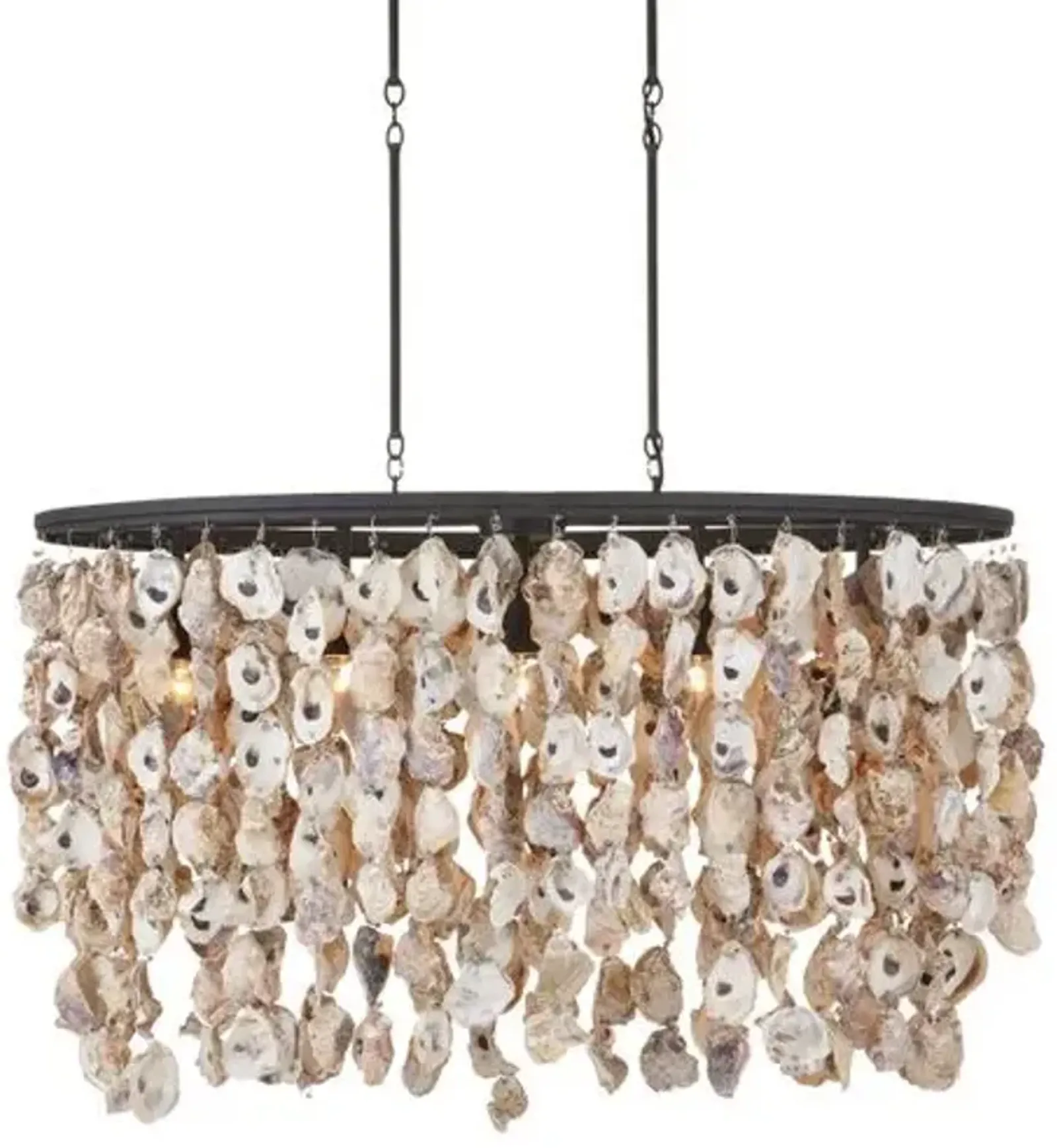 Stillwater Oyster Shell Oval Chandelier - Natural/Blacksmith - Currey & Company