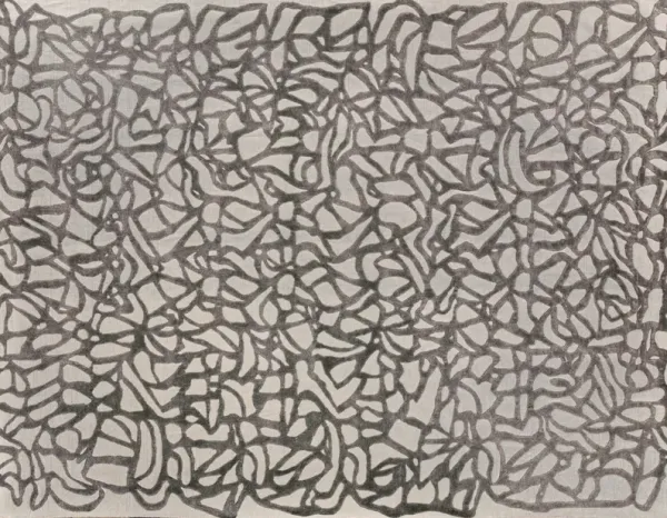 Goudy Handloomed Silk Rug