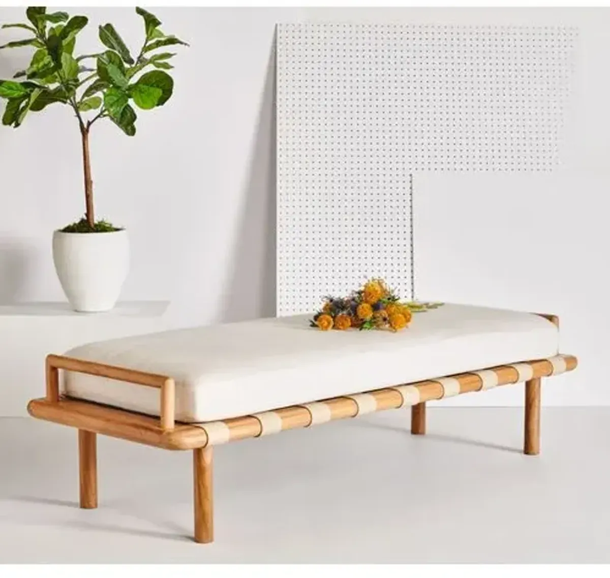 Xiomara Teak Bench - Brown