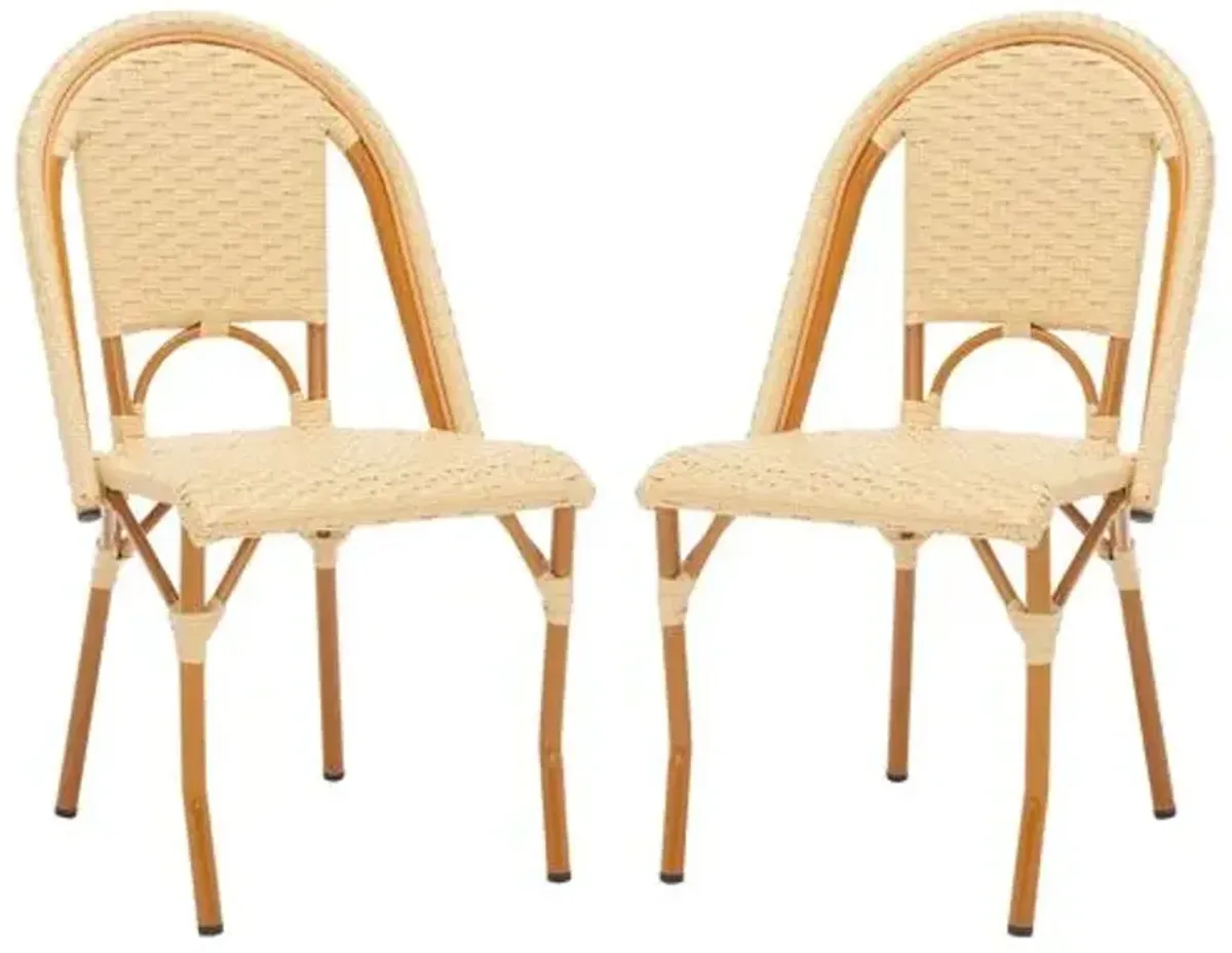 Set of 2 Marcellus Outdoor Side Chairs - Brown