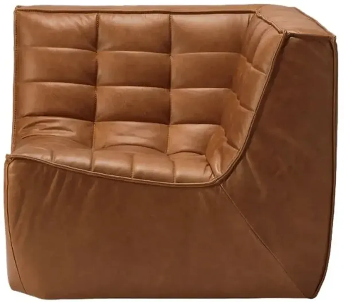 N701 Modular Sofa - Leather - Old Saddle - Ethnicraft