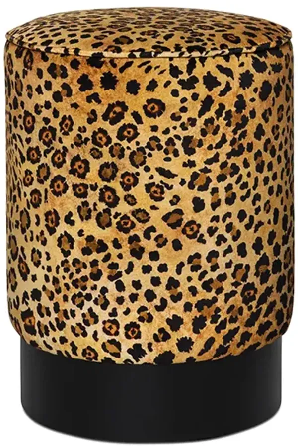 Safari Spot Velvet Pouf, Gold
