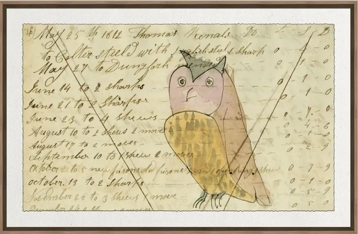 Owl Mennonite Ledger Drawing