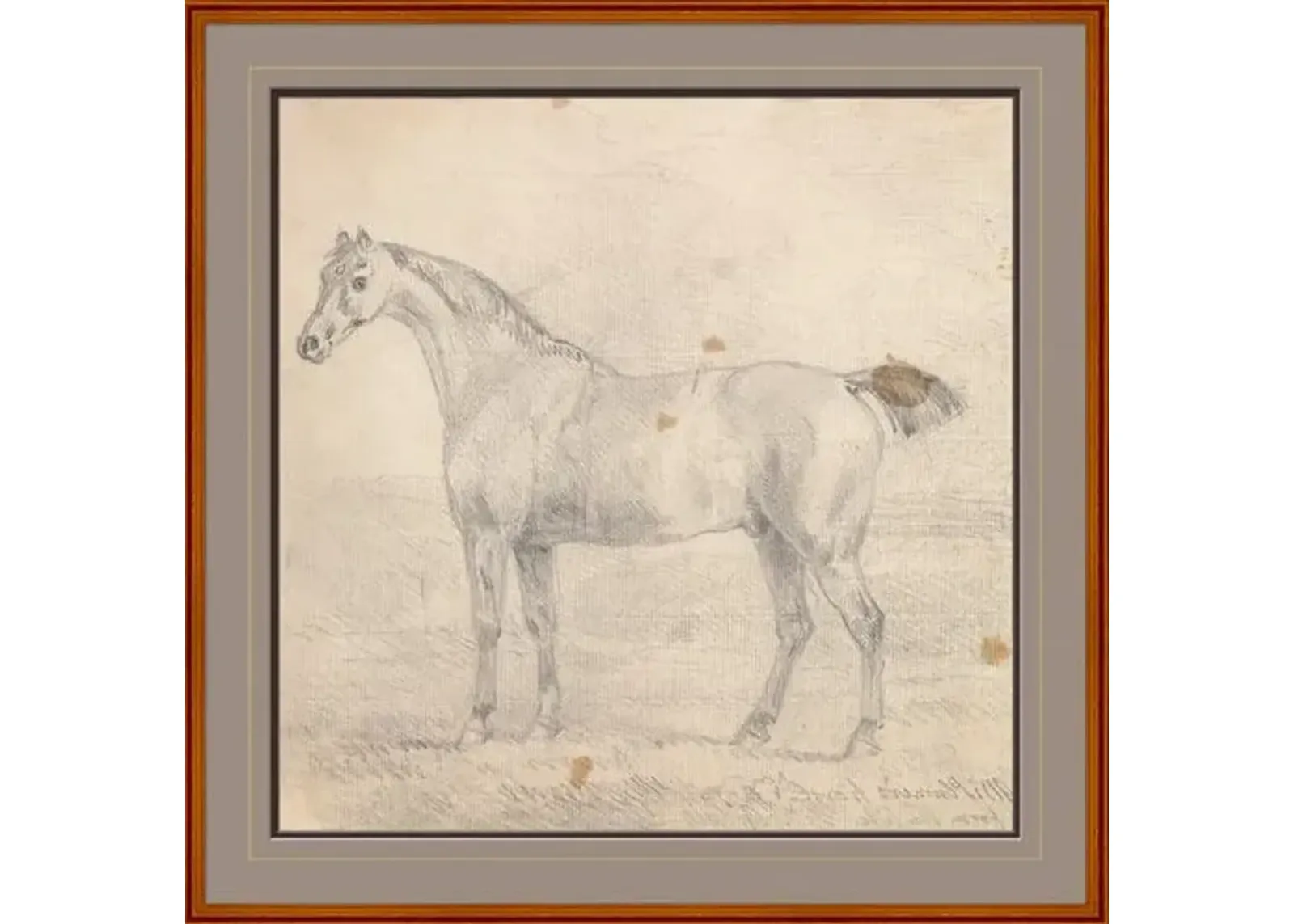 Mr. Plumer's Horse - Sawrey Gilpin - Soicher Marin - Brown