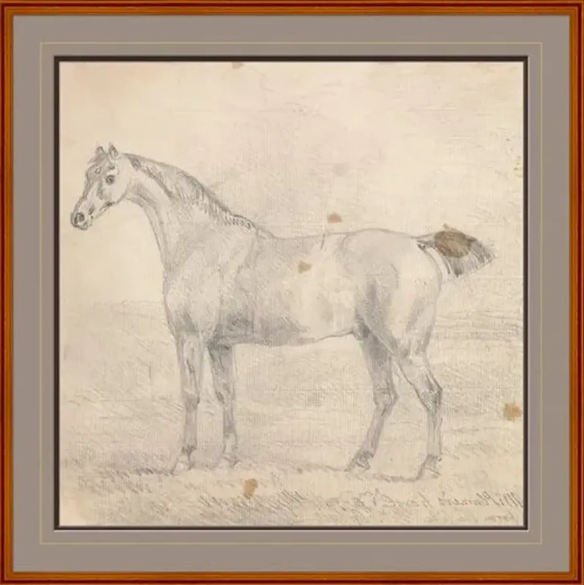 Mr. Plumer's Horse - Sawrey Gilpin - Soicher Marin - Brown