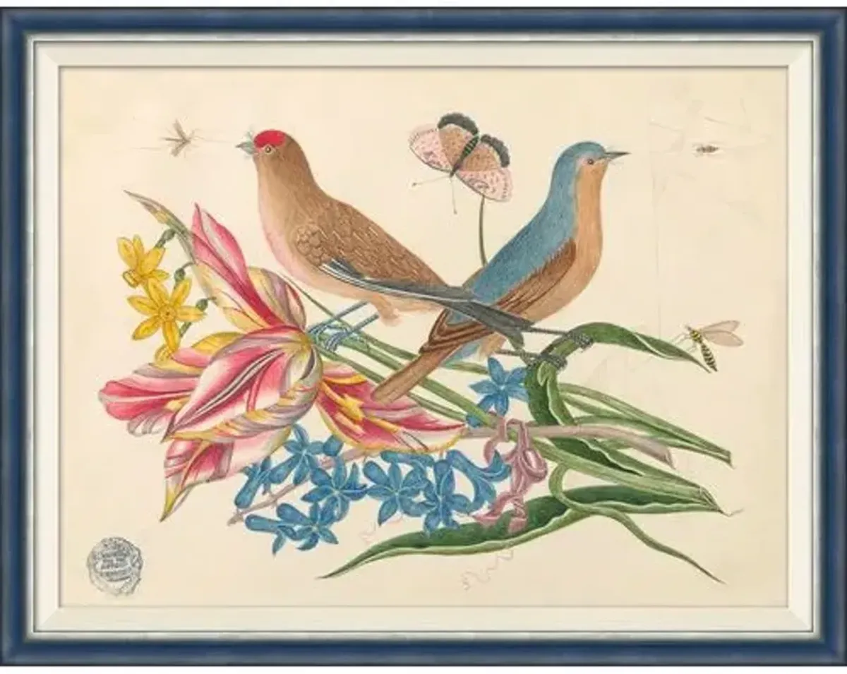 18th Century Floral Bouquets with Birds III - Soicher Marin - Brown