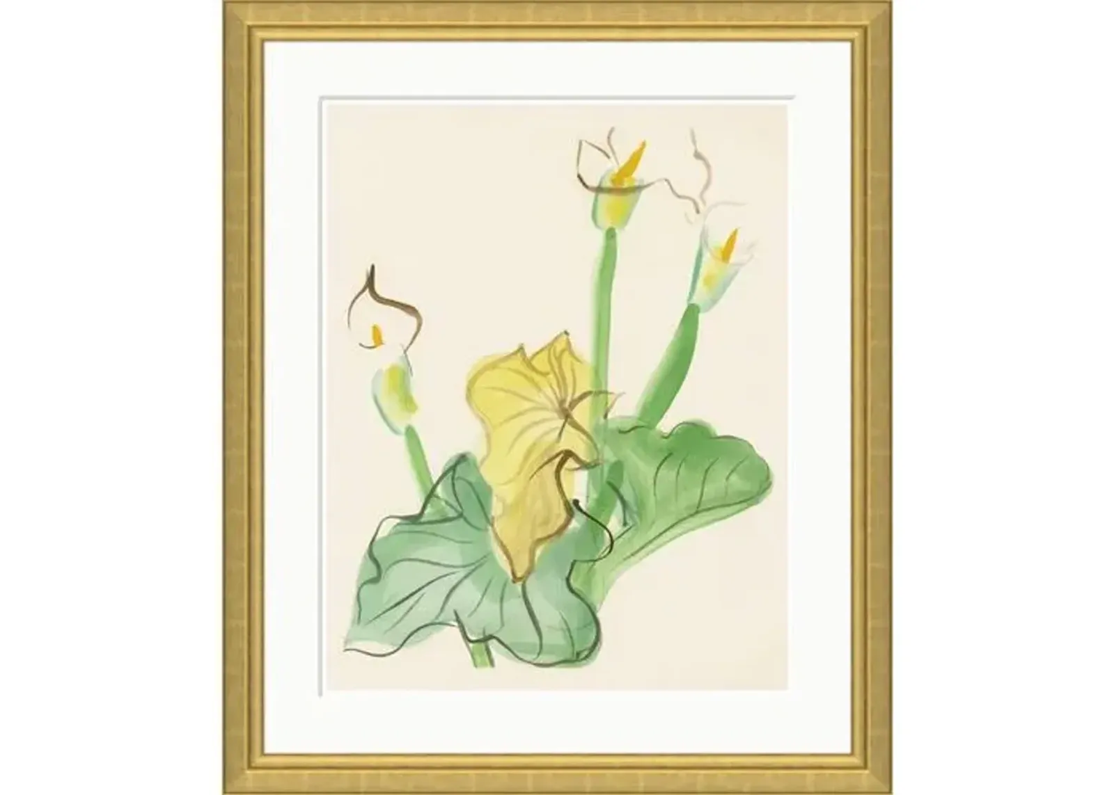 Cala Lily by Dufy - Soicher Marin - Yellow