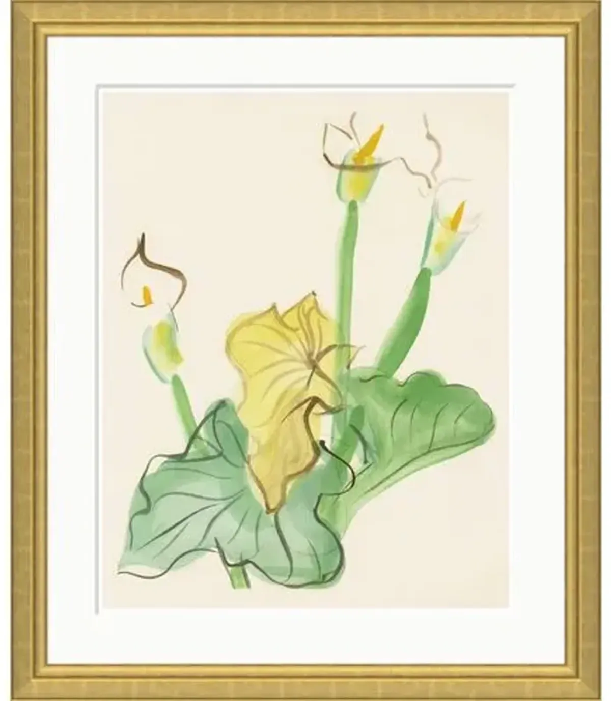 Cala Lily by Dufy - Soicher Marin - Yellow