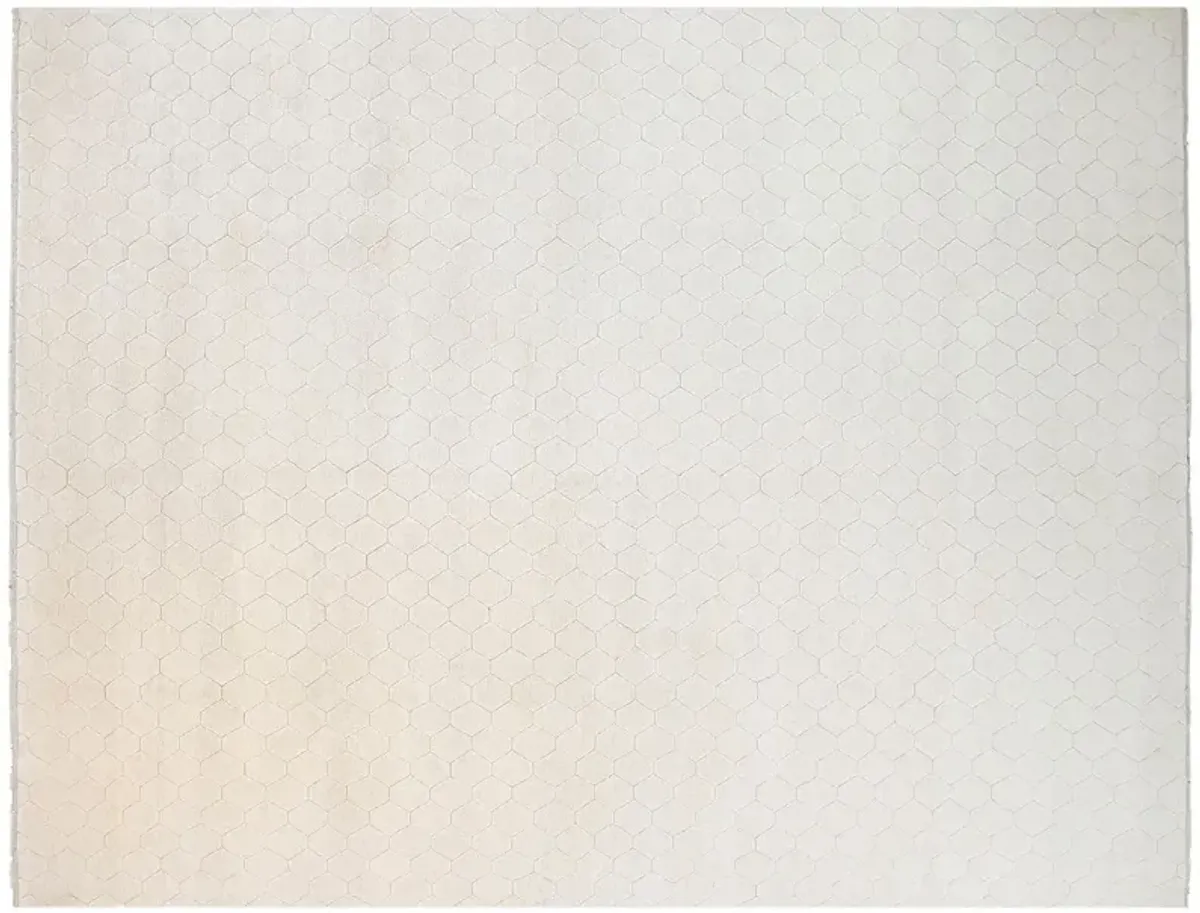 Cavo Rug, 9x12, Ivory