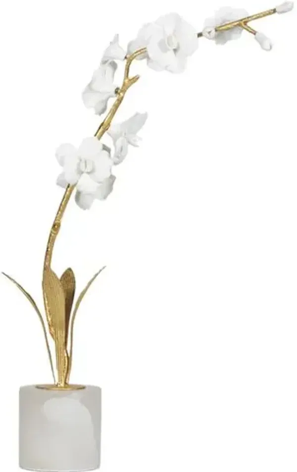 Thylane Accessory 1 - Gold - Regina Andrew - White