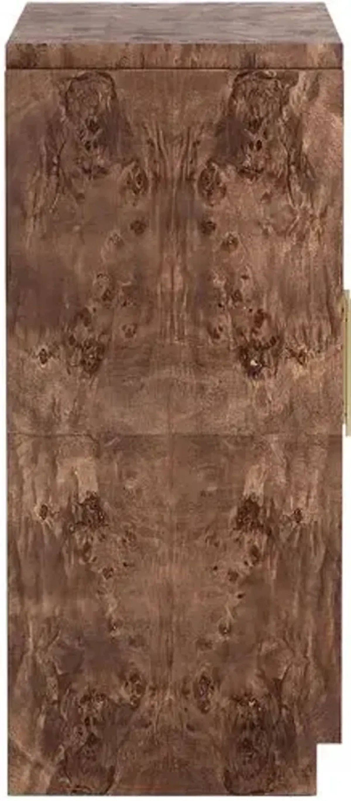 Jackson Burl 2-Door Cabinet - Tulsi Home - Brown