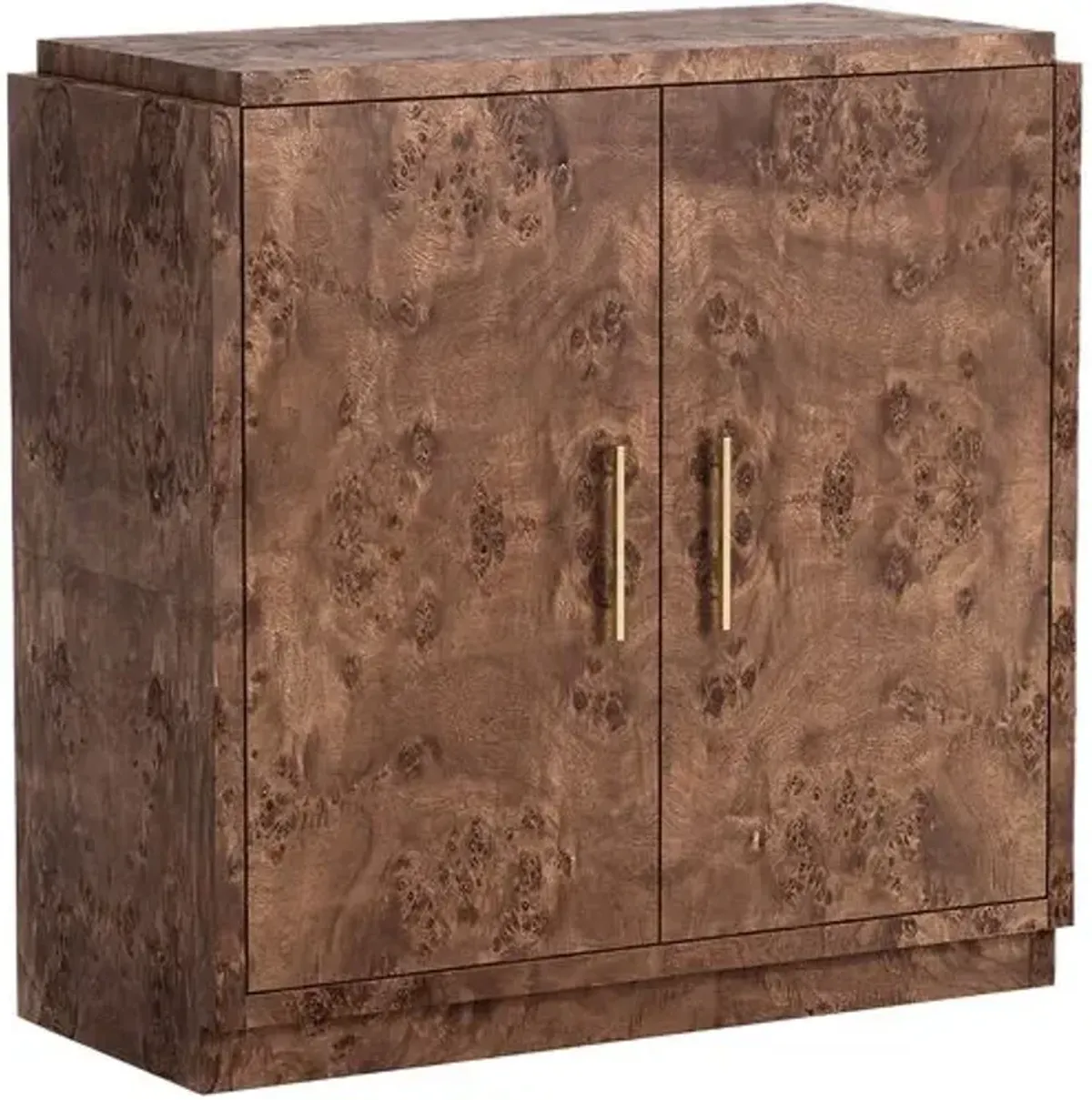 Jackson Burl 2-Door Cabinet - Tulsi Home - Brown