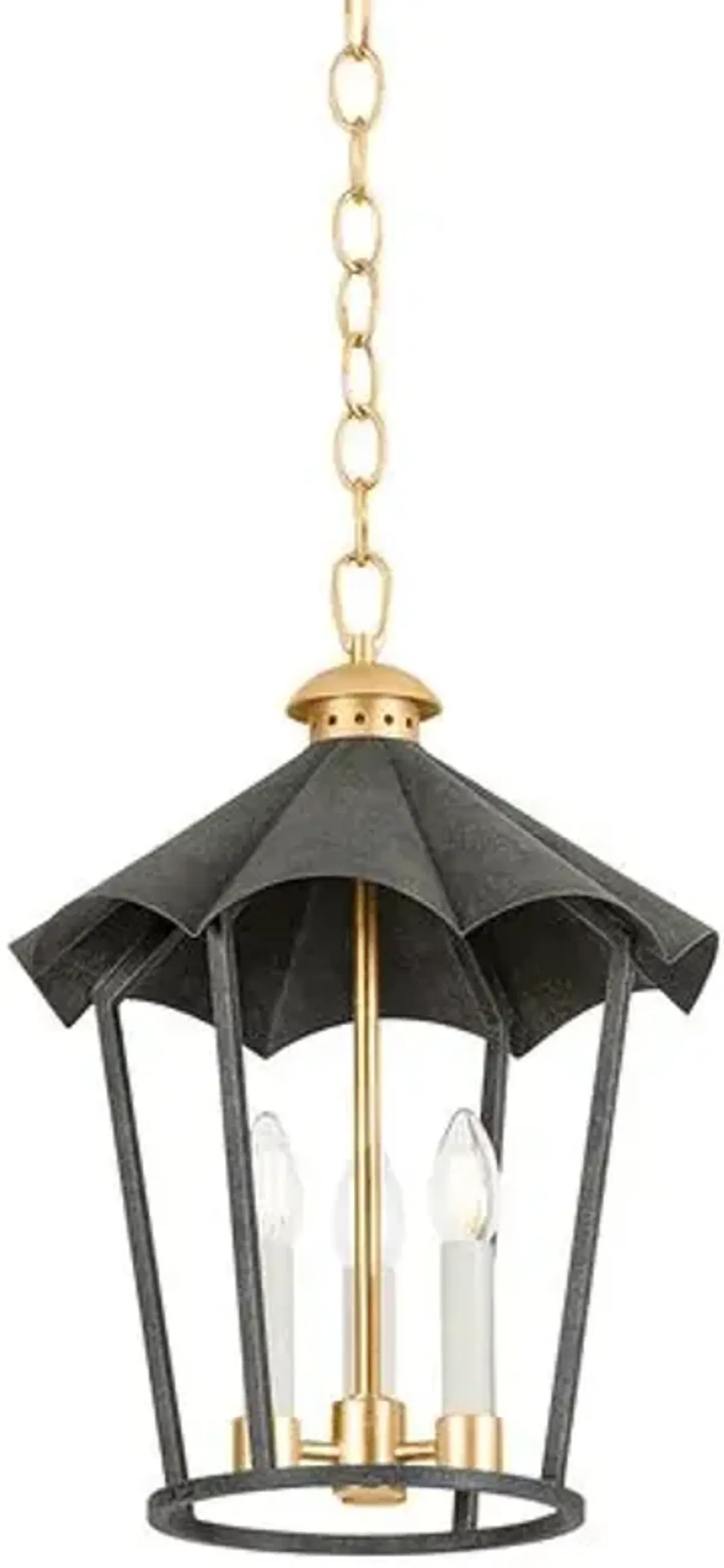 Wildomar Lantern - Vintage Gold Leaf/French Iron - Troy Lighting