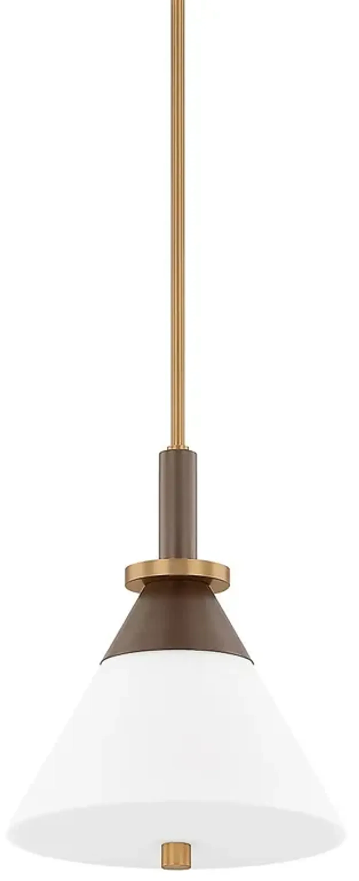 Staton Pendant - Patina Brass/Bronze - Troy Lighting - Multi