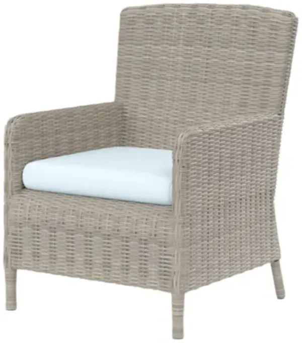 Maye Outdoor Aluminum/Resin Wicker Outdoor Dining Chair - Blue