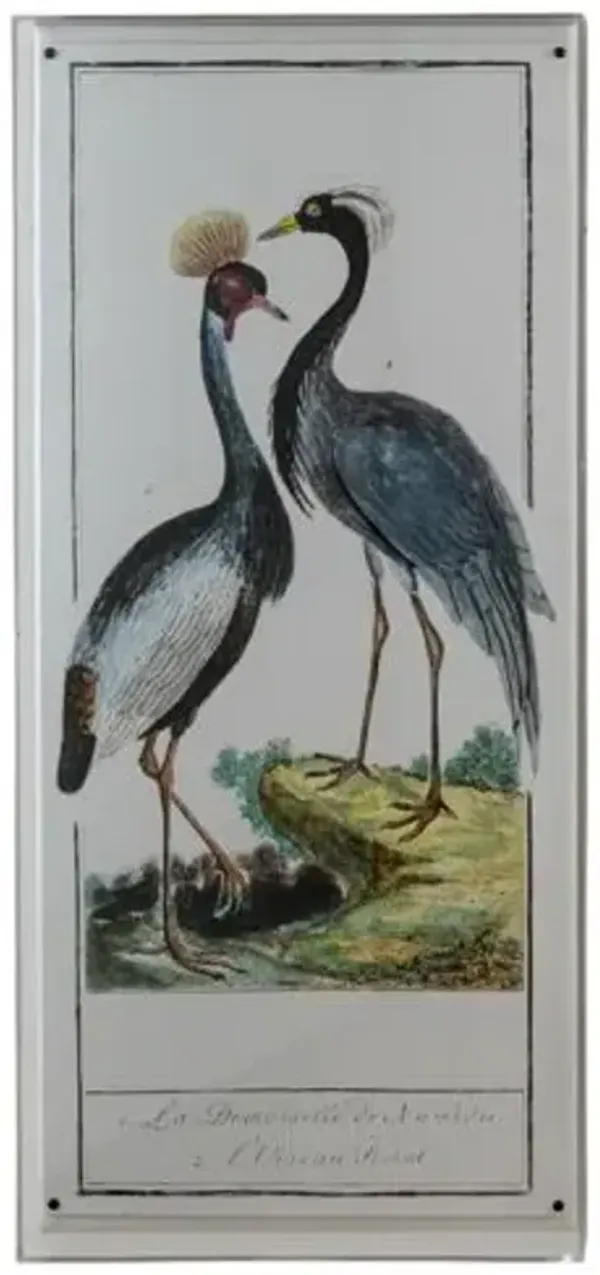 Buffon Heron I Print - 22" x 48" - Port 68 - Multi