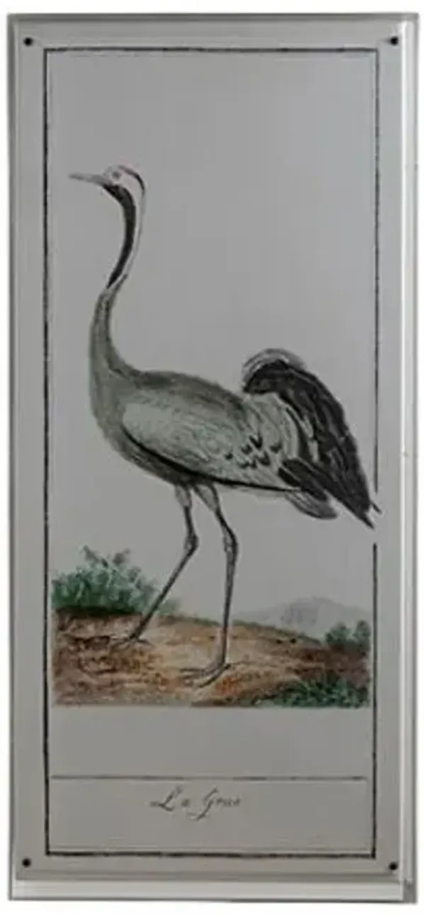 Buffon Heron II Print - 22" x 48" - Port 68 - Multi