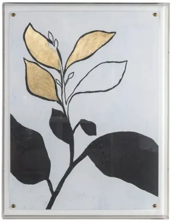 Gold Annuals II Print - 20" x 26" - Port 68