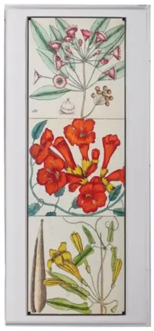 Catesby Botanical II Print - 22" x 48" - Port 68 - Multi