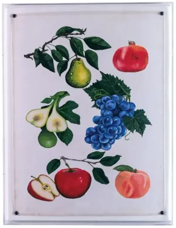 Fruit I Print - 20" x 26" - Port 68 - Multi